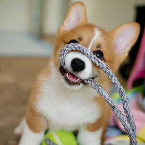 Meet your Posher, Shuhua